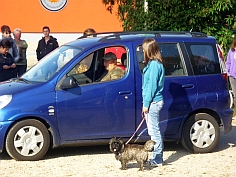 Welpen Cairn Terrier Zucht