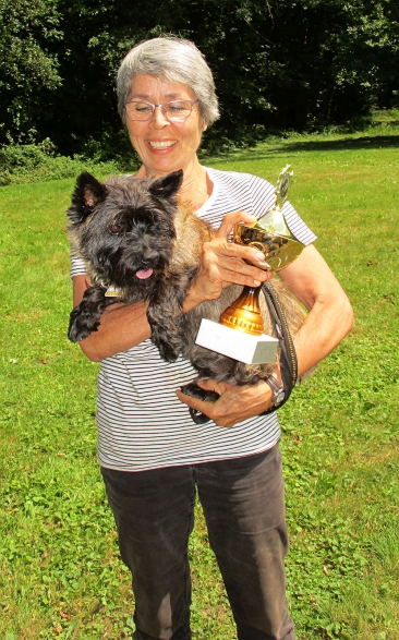 Welpen Cairn Terrier Zucht