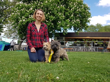 Welpen Cairn Terrier Zucht